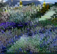 Highfield Gardens - C Tourism