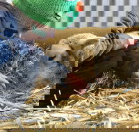 Horsham Agricultural Show - C Tourism