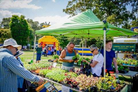 Huskisson Market - C Tourism 0