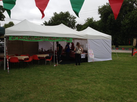 Macclesfield Strawberry Fete - C Tourism 0