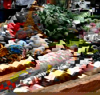 Manjimup Farmers Market - C Tourism