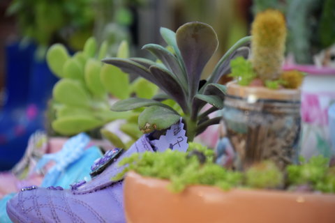 QCWA Sunday Markets - C Tourism 1