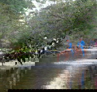 The Man From Snowy River Bush Festival - C Tourism