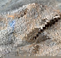 2020 Katherine Bird Festival - C Tourism