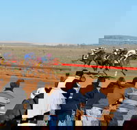 2020 Quorn Cup - C Tourism