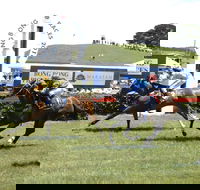 Bong Bong Picnic Races - C Tourism