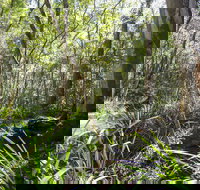 Bottlebutt Bash Trail Run - C Tourism