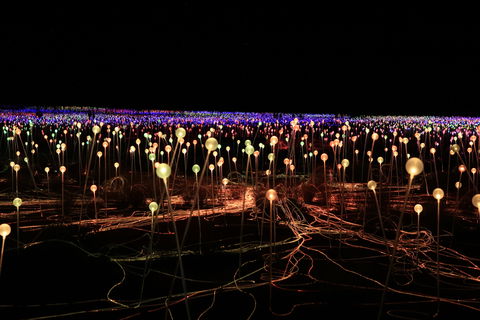 Field Of Light Uluru - C Tourism 1