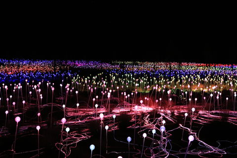 Field Of Light Uluru - C Tourism 2