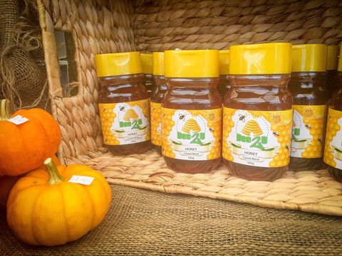 Greater Whitsunday Farmers Markets - C Tourism 1