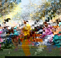 Griffith Spring Fest -  Multicultural Festival - C Tourism