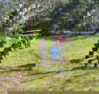 July 2020 Holidays- Forest Adventures Treasure Hunt - C Tourism