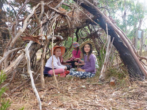 July 2020 Holidays- Forest Adventures Treasure Hunt - C Tourism 2