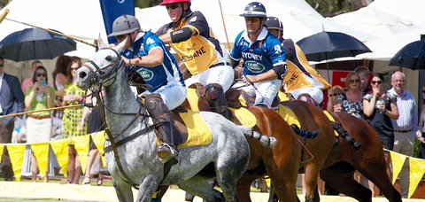 Land Rover Polo In The City Brisbane - C Tourism 0