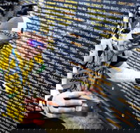 Ltape Australia by Tour de France - C Tourism