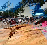 Maleny Wood Expo From Seed to Fine Furniture - C Tourism