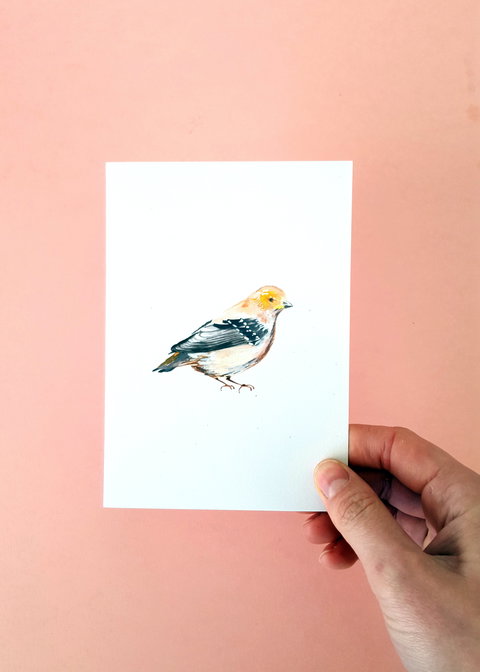 NW Niche Christmas Market In Burnie - C Tourism 1