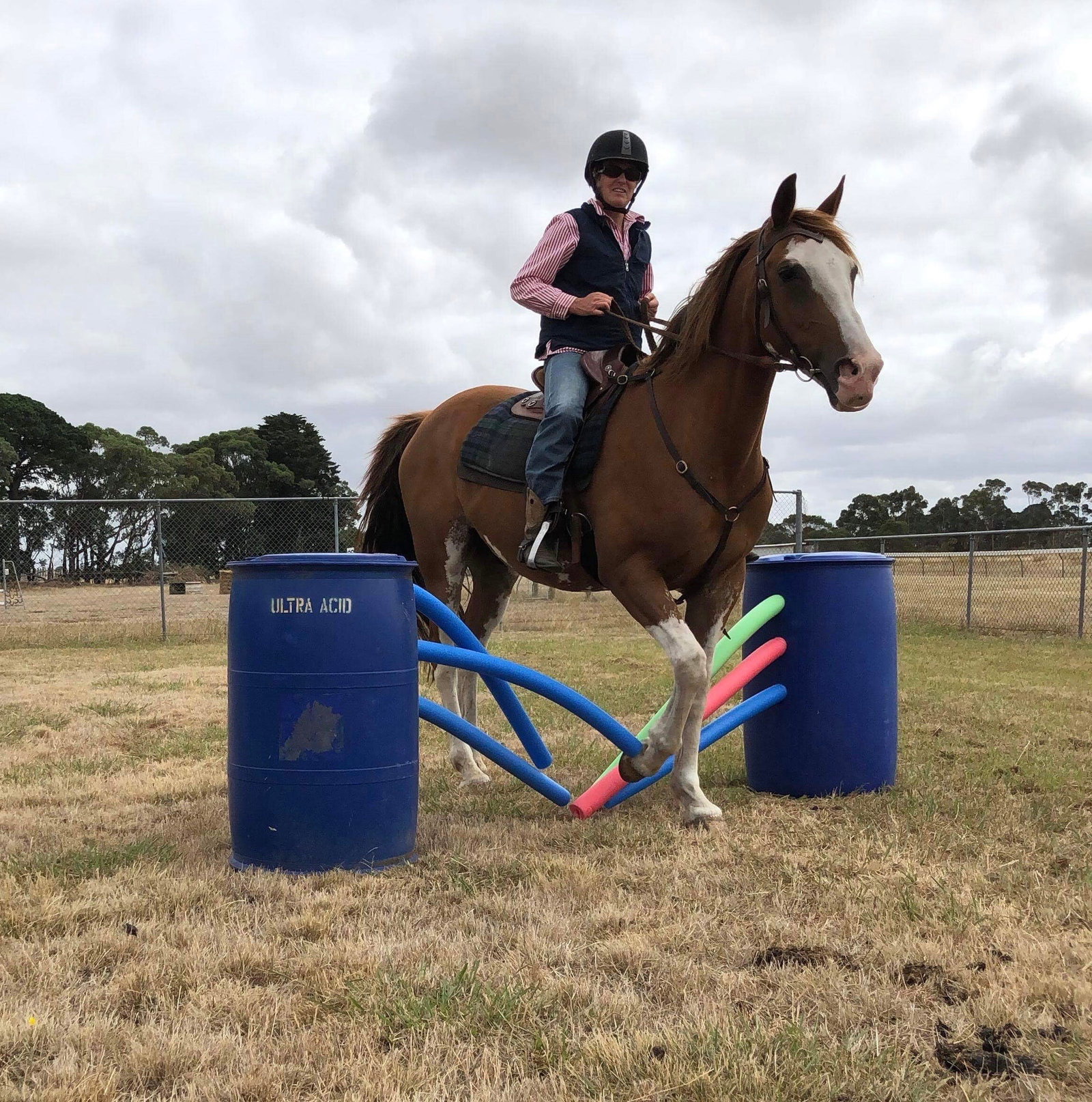 Purdeet VIC C Tourism