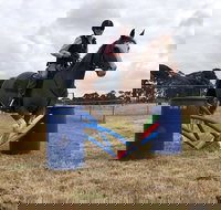 Rouse Roundup - C Tourism