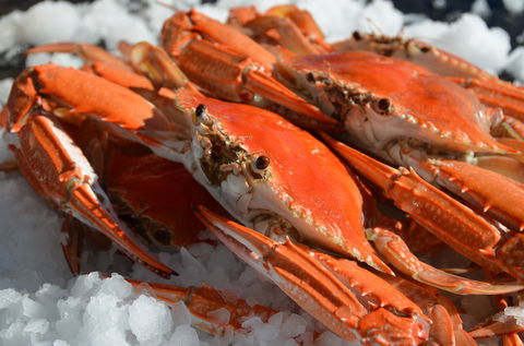 Seafood On Spencer - C Tourism 1