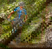 Shimano MTB Grand Prix Race  Awaba - C Tourism
