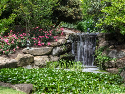 Spring Time At Hunter Valley Gardens - C Tourism 1