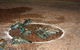 Windorah International Yabby Races - Postponed - thumb 2