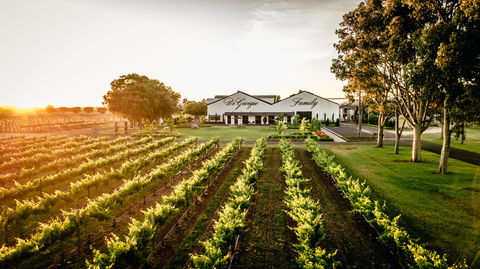 Aged Wine And Vintage Pies - C Tourism 2