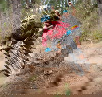 Fox Superflow sealed by Stan's Race  Greenvalleys - C Tourism