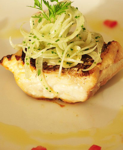 Potts Point NSW C Tourism