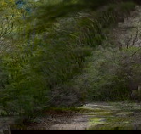 Yering Gorge Cottages - C Tourism