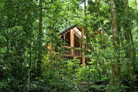 The Canopy Rainforest Treehouses And Wildlife Sanctuary - C Tourism 1