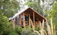 The Canopy Rainforest Treehouses And Wildlife Sanctuary - thumb 2