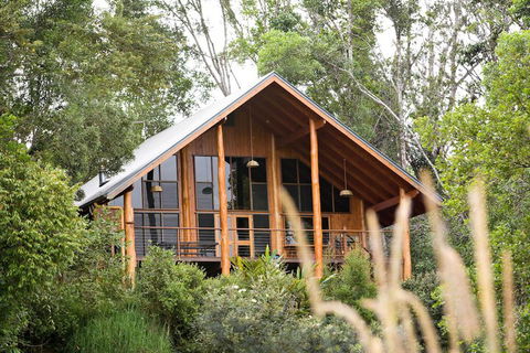 The Canopy Rainforest Treehouses And Wildlife Sanctuary - C Tourism 2