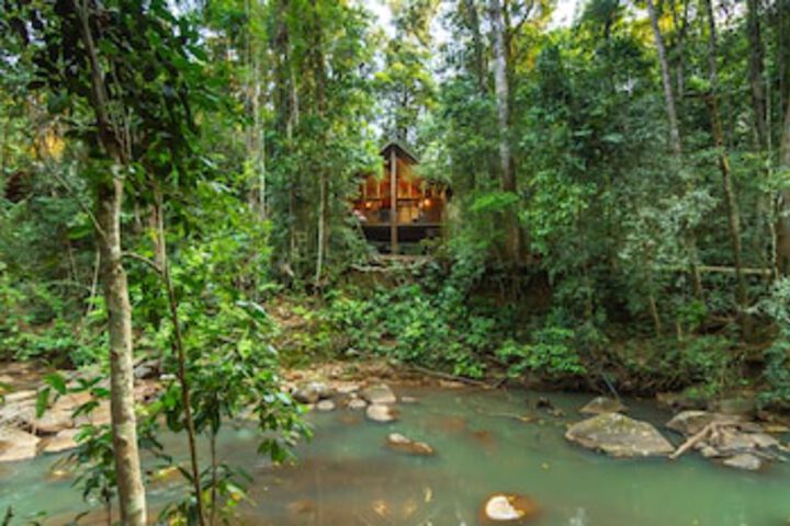  C Tourism