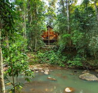 The Canopy Rainforest Treehouses and Wildlife Sanctuary - C Tourism