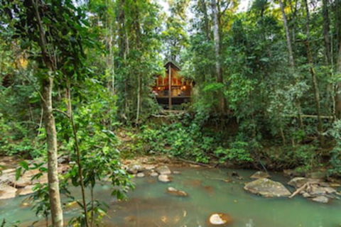 The Canopy Rainforest Treehouses And Wildlife Sanctuary - C Tourism 0