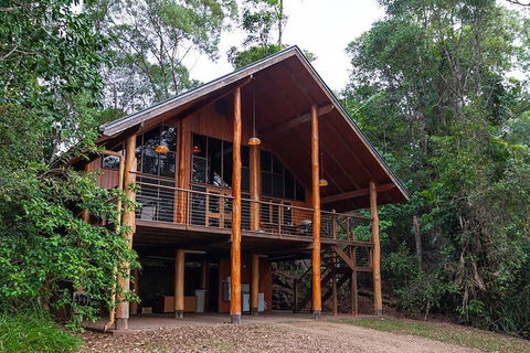The Canopy Rainforest Treehouses And Wildlife Sanctuary - C Tourism 3