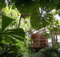 Daintree Wilderness Lodge - C Tourism