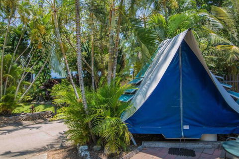 Tasman Holiday Parks - Airlie Beach - C Tourism 5
