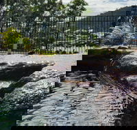 Colonial Palms Motor Inn