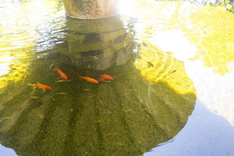 Iluka Motel - C Tourism 7