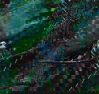 Broken River Mountain Resort - C Tourism