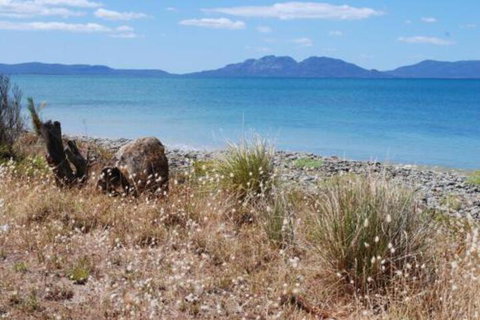 Schouten House - C Tourism 1