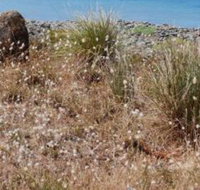 Schouten House - C Tourism