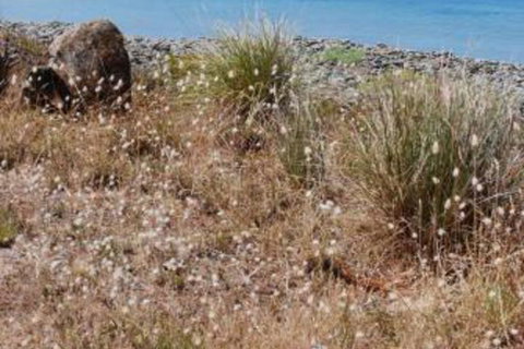 Schouten House - C Tourism 0