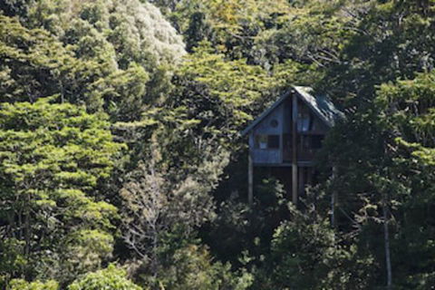 Rose Gums Wilderness Retreat - C Tourism 0