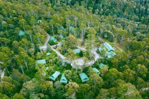 Lemonthyme Wilderness Retreat - C Tourism 0