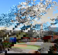 Hume Country Motor Inn - C Tourism