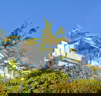 Tangalooma Island Resort - C Tourism